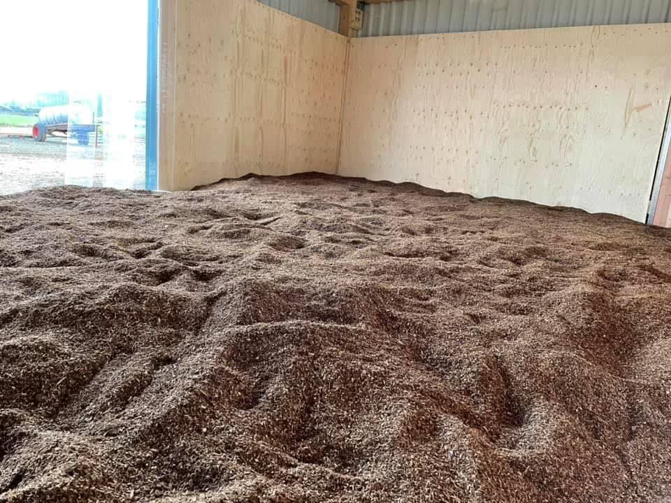 Waldgold Waldboden Einstreu