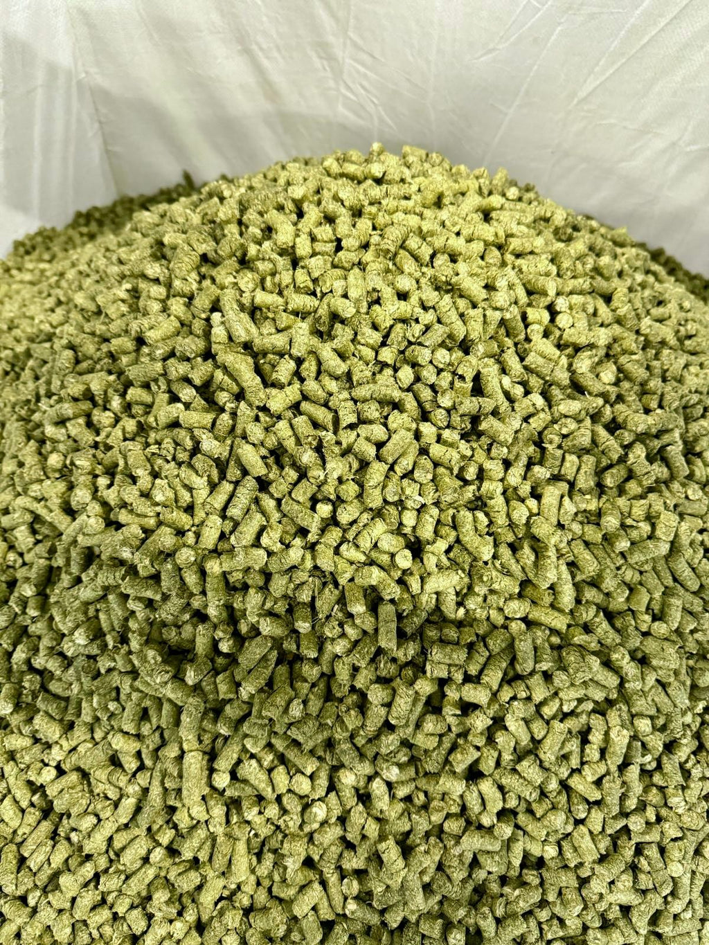 Grünhafer Cobs