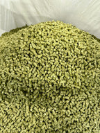 Grünhafer Cobs